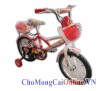 Xe đạp trẻ em xd-002