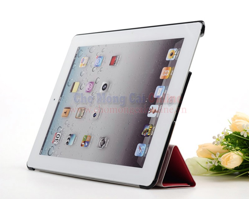bao-da-ipad-234-nhieu-mau-sac-chomongcaionline-11.jpg