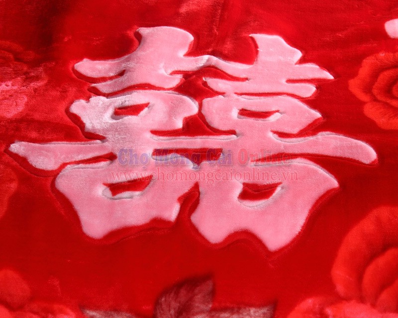 chan len mua dong mau moi chomongcaionline (11)