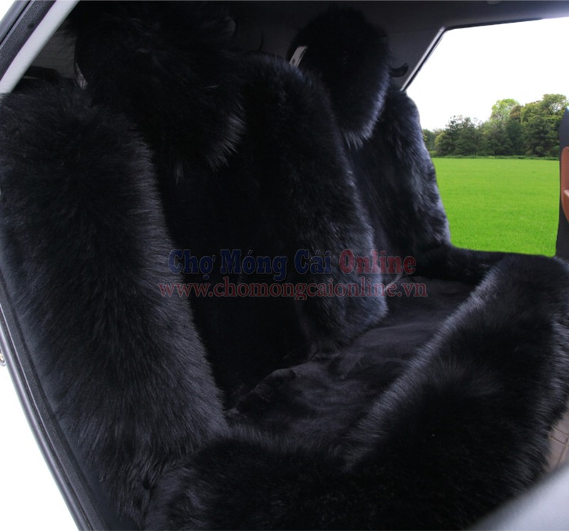 dem ghe oto dbg020 chomongcaionline (20)
