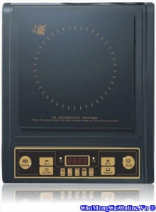 Bếp từ PESKOE - F25