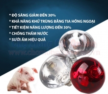 Đèn sưởi nhiệt hồng ngoại cho gia súc Dr.Pig