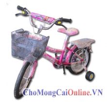 Xe đạp trẻ em xd-008