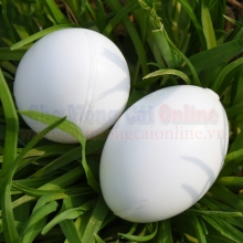 Trứng bồ câu giả đặc TBNN019
